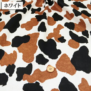 OєL cCn ( L cat L ˂ ~PlR Aj} Aj} Gv obO zn ) 50cmP