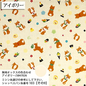 ᖳVsLČƊi ۓa V[`On }Ki Č  ͗l a В aG a { Vc D  zn 50cmP