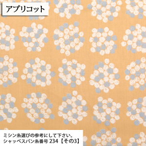 Nmjuk rGnis[`Nсj ( rG ԕ s[X XJ[g gbvX H~ N zn ) 50cmP