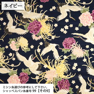  ߂Ɖ TeXun a {  ԕ AnVc  vgn  r  lC zn 50cmP