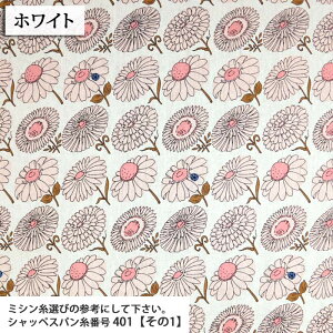 ᖳVsLЂȂisso-ecco ȖLoXn ( ԕ t[ ĂƂ  obO Gv zn ) 50cmP