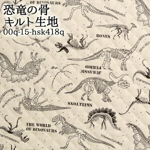 ̍Lg Lgn (  dinosaur  w wZ XN[obO zc zn ) 50cmP