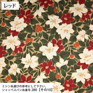 ʂ̉ cCn ( ԕ t[ obO {^jJ Gv t[K[f zn ) 50cmP