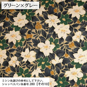 ʂ̉ cCn ( ԕ t[ obO {^jJ Gv t[K[f zn ) 50cmP