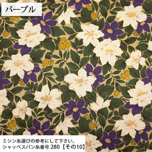 ʂ̉ cCn ( ԕ t[ obO {^jJ Gv t[K[f zn ) 50cmP