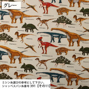 ᖳVsL⋰ cCn (  dinosaur  w wZ obO Gv В zn ) 50cmP