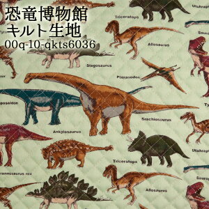 ᖳVsL⋰فLg Lgn (  dinosaur  w wZ XN[obO zc zn ) 50cmP