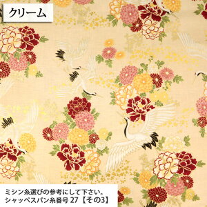 ᖳVsL߂Ɖ V[`On `cH a Vc ԕ { lC  В obO  g s[X AnVc zn 50cmP