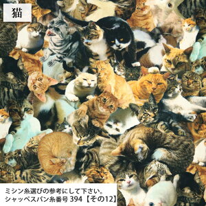 nC`[YI V[`On CNWFbg CNWFbg  L cat dog Avg obO CeA  nhCh |[` zn 50cmP