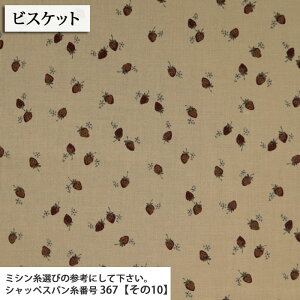 ᖳVsL⏬ Funwari V[`On 䕕 strawberry  Vc uEX  w В `}bg 킢 n  zn 50cmP