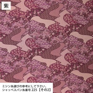 10off|GXe߂a }Ki |GXe߂񐶒n ߂ a aG В obO zn 50cmP