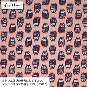 ӂ낤k̐Xmini }Ki V[`On k Gv obO  nhCh 킢  w Jo[ zn 50cmP