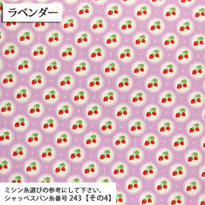 ᖳVsLstrawberry[X CB|vn   킢  w `}bg В obO XN[obO zn 50cmP