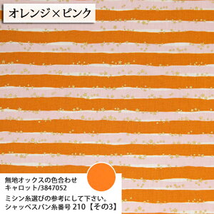 ᖳVsLStarBorder LinneaBasic IbNXn {[_[  star obO  w wZ wZpi  nhCh lC  zn 50cmP