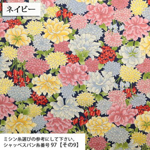  ࣖ S㇗ }Ki V[`On a ԕ  D ؂₩  Gv obO aG В nhCh | zn 50cmP