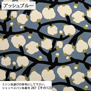 ᖳVsL₴ ȖLoXn ʕ UN 킢 g  obO f XJ[g n nhCh ٖD | zn 50cmP