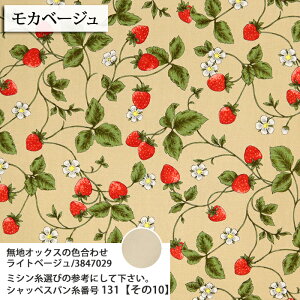 essential 䕕 }Ki IbNXn  strawberry 䕕 Gv |[` obO lC GKg 킢 nhCh  zn 50cmP