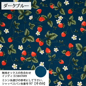 essential 䕕 }Ki IbNXn  strawberry 䕕 Gv |[` obO lC GKg 킢 nhCh  zn 50cmP