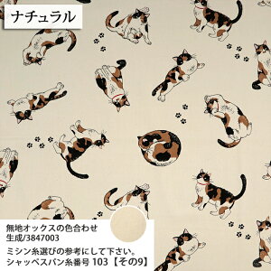 ᖳVsLOєLTime IbNXn L  obO Gv \[CO nhCh | ٖD zn 50cmP