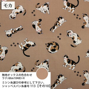 ᖳVsLOєLTime IbNXn L  obO Gv \[CO nhCh | ٖD zn 50cmP