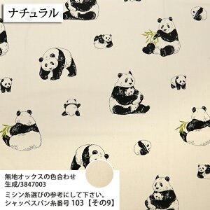 ᖳVsLp_eq IbNXn ς lC  obO 킢 nhCh ٖD | Gv zn 50cmP