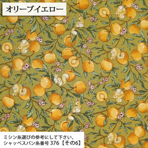 ᖳVsL⃊XƉʎ V[`On t[c 肷 ԕ g  l n Vc uEX nhCh ٖD | Gv zn 50cmP