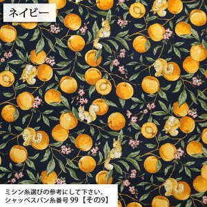 ᖳVsL⃊XƉʎ V[`On t[c 肷 ԕ g  l n Vc uEX nhCh ٖD | Gv zn 50cmP