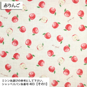 ᖳVsLdear Apple V[`On  S Abv 킢 uEX Vc  w LD lC nhCh ٖD zn 50cmP