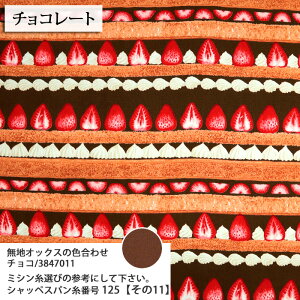 ᖳVsL䕃V[gP[L {[_[ IbNXn cake 킢 V[gP[L 䕕 Gv В wZ  w nhCh | ٖD zn 50cmP