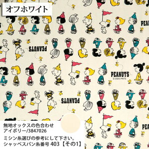 ᖳVsLSnoopy p[h IbNXn Xk[s[ peanut  w obO Gv lC nhCh | ٖD zn 50cmP