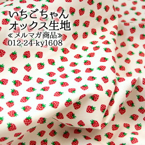  }Ki IbNXn strawberry 䕕 K[[ L[g  w nhCh ٖD  wZ obO Gv zn 50cmP