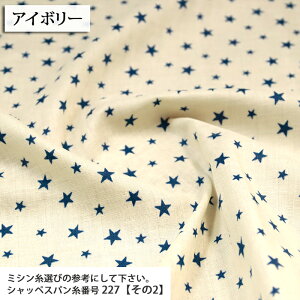 Little Star }Ki _uK[[n xr[ nJ` X^C uEX  BABY@킢 nhCh  ٖD zn 50cmP