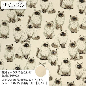 ᖳVsLq} }Ki IbNXn L cat obO CeA nhCh lC  ٖD zn 50cmP