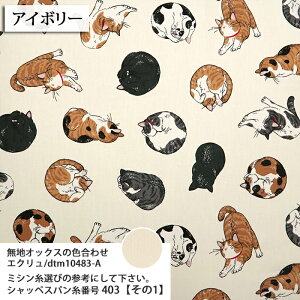 ᖳVsLЂ˔L IbNXn L L OєL LD obO Gv lC nhCh ٖD  zn 50cmP