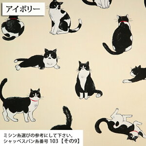 ԂL }Ki IbNXn L u` CAT obO Gv LD nhCh  ٖD zn 50cmP