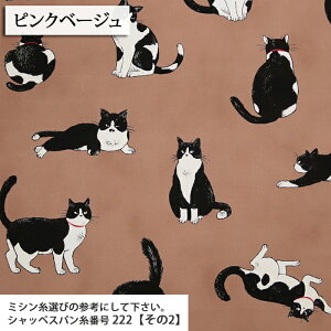 ԂL }Ki IbNXn L u` CAT obO Gv LD nhCh  ٖD zn 50cmP