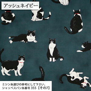 ԂL }Ki IbNXn L u` CAT obO Gv LD nhCh  ٖD zn 50cmP