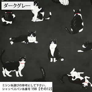 ԂL }Ki IbNXn L u` CAT obO Gv LD nhCh  ٖD zn 50cmP