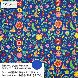 LVRhJ un/no }Ki V[`On hJ ԕ Mexico _ IG^ n gx nhCh  ٖD zn 50cmP