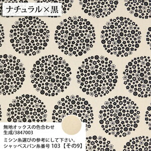 ᖳVsLԋʐ IbNXn ԕ  Gv obO lC GKg nhCh  ٖD zn 50cmP