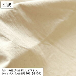 ᖳVsL⃔Be[WbV[H 11nv 11nvn z g[gobO  w wZ nhCh  ٖD zn 50cmP