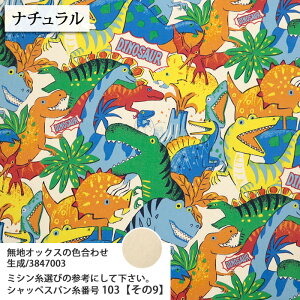 ᖳVsLDinosaur Powerful Animal IbNXn  Jt  w XN[obO bXobO nhCh ٖD d  lC POP zn 50cmP