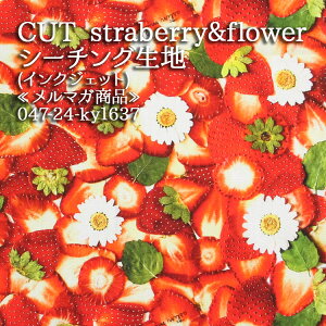 CUT straberry&flower }Ki V[`On(CNWFbg) nhCh  `jbN G  fW^vg A 킢 zn 50cmP