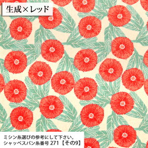 ᖳVsL`AfCW[ ȖLoXn fCW[ ԕ LoX Gv obO n nhCh ٖD | zn 50cmP