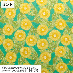 ᖳVsL`AfCW[ ȖLoXn fCW[ ԕ LoX Gv obO n nhCh ٖD | zn 50cmP