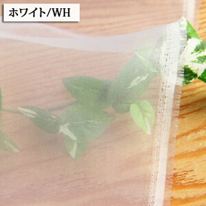 n Xp[NI[KW[ |GXe100 ( Cxg ߑ fBXvC  zn ) 50cmP