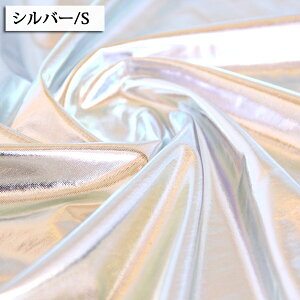 n n nn Xpjbg_u |GXe100 ( F F ^bN Cxg Xe[W ߑ S[h Vo[ hX zn ) 50cmP