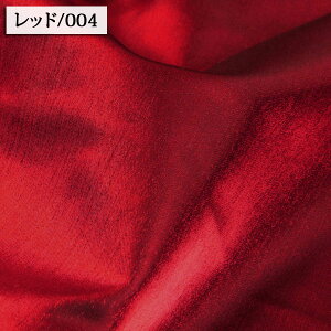 n eBNTe Ten ( Te Cxg ߑ fBXvC EGfBO  W zn ) 50cmP