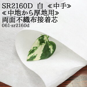 ڒc sDz   (SR2160D)  ʕsDzڒc nnp ʐڒc sDzڒc pl plc G ڒ nhCh zn 50cmP