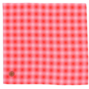 z߂ ʊiqڂ 傫߃JbgNX/32cmp ()